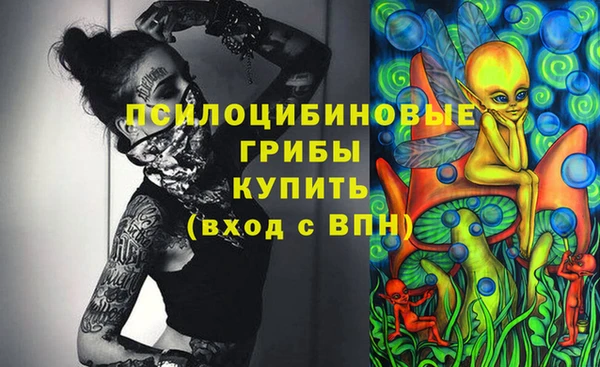 дурь Майский